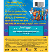Load image into Gallery viewer, The New Scooby-Doo Movies: The (Almost) Complete Collection (BD)