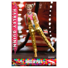 Load image into Gallery viewer, Birds of Prey Harley Quinn 1/6 Scale Figure