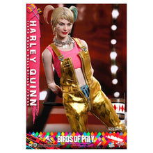 Load image into Gallery viewer, Birds of Prey Harley Quinn 1/6 Scale Figure