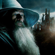 Load image into Gallery viewer, FALSE