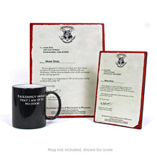 Load image into Gallery viewer, FALSE