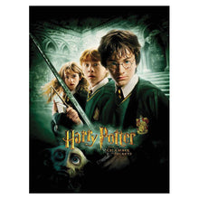 Load image into Gallery viewer, Harry Potter Poster Collection: The Definitive Movie Posters