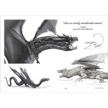 Load image into Gallery viewer, Harry Potter Magical Creatures Hardcover Blank Sketchbook