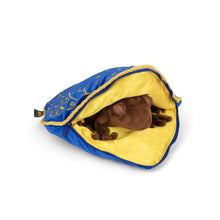 Load image into Gallery viewer, Chocolate Frog Plush from Harry Potter by The Noble Collection