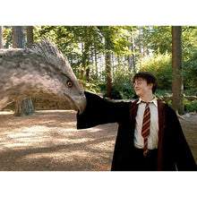 Load image into Gallery viewer, Harry Potter and the Prisoner of Azkaban Enchanted Postcard Book (Paperback)