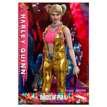 Load image into Gallery viewer, Birds of Prey Harley Quinn 1/6 Scale Figure
