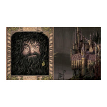 Load image into Gallery viewer, Harry Potter and the Chamber of Secrets: The Illustrated Edition (Harry Potter, Book 2)
