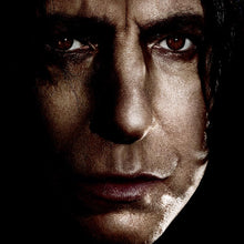 Load image into Gallery viewer, Harry Potter and the Deathly Hallows, Part 1 Panoramic Portrait Poster
