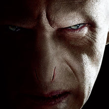 Load image into Gallery viewer, Harry Potter and the Deathly Hallows, Part 1 Panoramic Portrait Poster
