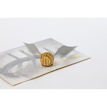 Load image into Gallery viewer, Harry Potter Quidditch Pop-Up Card
