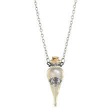 Load image into Gallery viewer, Felix Felicis Pendant and Display by Noble Collection
